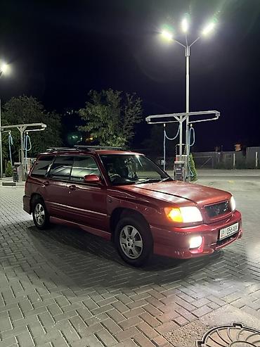 Subaru: Subaru Forester: 2001 г., 2 л, Автомат, Бензин, Универсал — 6