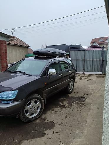 Lexus: Lexus RX: 2002 г., 3 л, Автомат, Внедорожник — 2