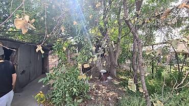 Продажа участков: 10 соток, Для строительства, Тех паспорт, Договор купли-продажи, Красная книга — 5