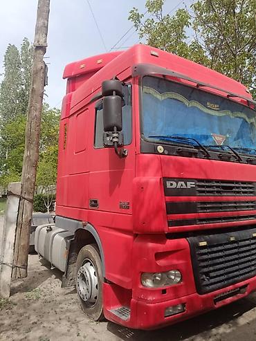 Тягачи: Тягач, DAF, 2002 г., Шторный — 7