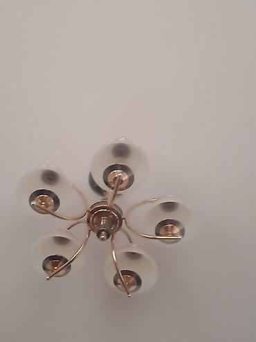 smart light: Потолочная люстра с 5 плафонами. - Тип: потолочная, центральная. - — 1