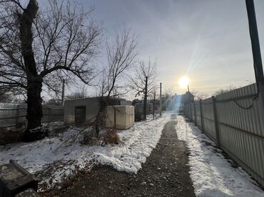 Продажа участков: 24 соток, Красная книга at lalafo.kg — 4 Продажа участков: 24 соток, Красная книга — 4