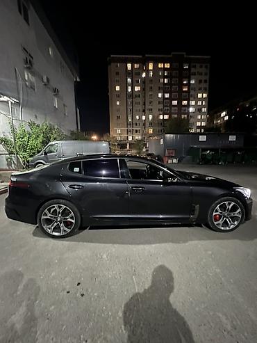 киа стингер 2019: Kia Stinger: 2018 г., 2 л, Автомат, Бензин, Лифтбек — 2
