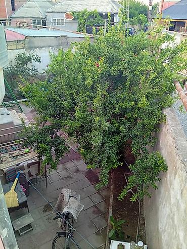 evim residence: Binəqədi qəs. 3 otaqlı, 1 kv. m, Kredit yoxdur, Orta təmir — 6