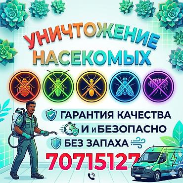 Клининговые услуги: Дезинфекция, дезинсекция, | Блохи, Вирусы, микробы, Клопы, | Дома, Кафе, магазины, Офисы — 1