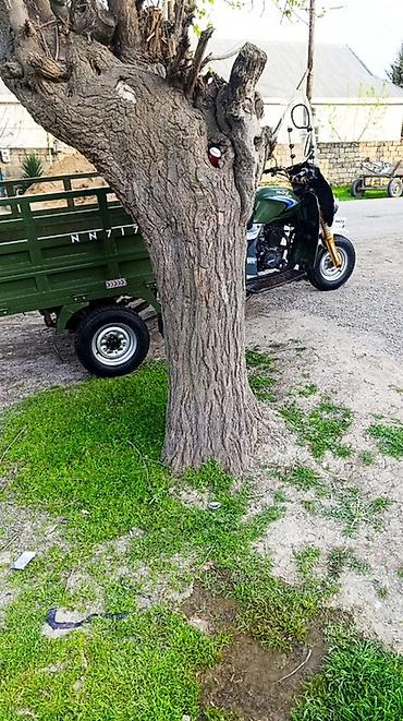 Motosikletlər: - NN717, 200 sm3 — 12