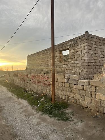 bine sovxoz: 4 sot, Tikinti, Mülkiyyətçi, Bələdiyyə — 3