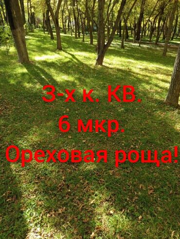 продаю комнату: 3 комнаты, 61 м², 106 серия, 8 этаж, Евроремонт