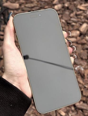 13 pro max 512: IPhone 14 Pro Max, Б/у, 256 ГБ, Золотой, Защитное стекло, Чехол, 71 % — 6
