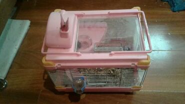 Qəfəslər: Xamyak ucun Qefes satilir qiyməti 25 azn bashqa qefeslerde var -da lalafo.az — 8 Qəfəslər: Xamyak ucun Qefes satilir qiyməti 25 azn bashqa qefeslerde var — 8