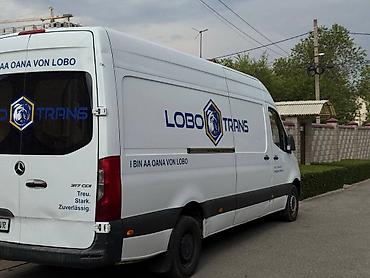 lobo: Легкий грузовик, Mercedes-Benz, Б/у — 5