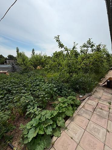 финка кредит: 🏡 Продаётся дом в районе Сокулук 📍 Участок — 11 соток ✅ Свет и вода — 4