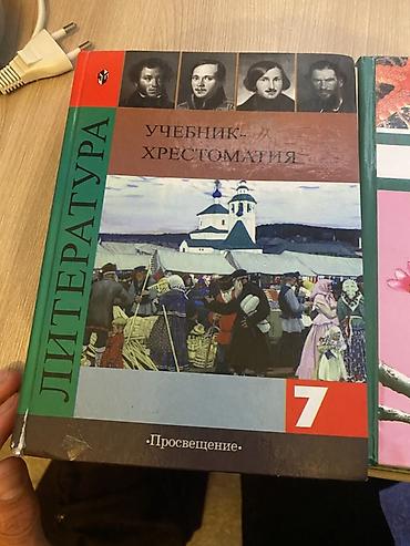Учебники: Комплект школьных учебников: 1) Литература. Учебник-хрестоматия для 7 — 1