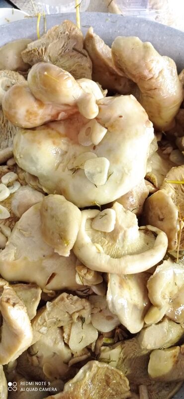 nutrilite чеснок in Кыргызстан | ВИТАМИНЫ И БАДЫ: Грузди солёные бочковые с укропом чесноком. 250 сом кг