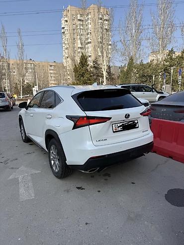 лехус нх 300: Lexus NX: 2017 г., 2 л, Автомат, Бензин, Кроссовер — 5