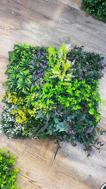 deko: 🌿 50×50 dekor panellər – Kiçik ölçüdə böyük təsir! 🏡 Divarlar