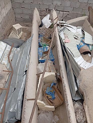 Бөлмө өсүмдүктөрү: А\ч жаныбралары үчүн товарлар жана шаймандар — 2