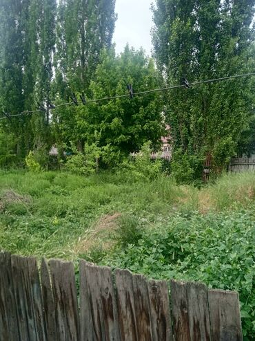 продаю в мкр учкун: Продаю дуб