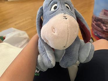 kaktus oyuncaq: Məhsul: Eeyore (Vinni Pux dünyası) yumşaq oyuncaq - Material: yüksək — 1