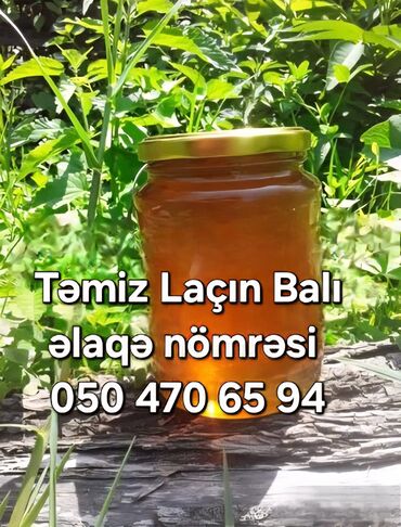 Мясная и рыбная продукция: Məhsul: Təmiz Laçın balı Təsvir: - Şüşə qabda, qapaqlı təqdim olunan