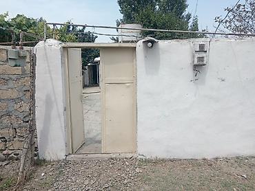 sabunçu kiraye heyet evleri: Samux Rayon tatlı kəndidə imamzadəyə yaxın yerdə Həyətyanı sahəsi olan — 1
