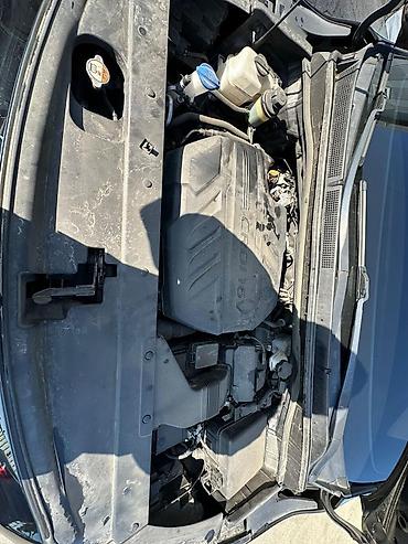 Kia: Kia Carnival: 2020 г., 2.2 л, Автомат, Дизель, Минивэн — 19