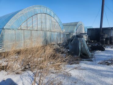 пол контейнера: Продаю Теплица, 300 соток, Действующий, С оборудованием, Холодная вода, Электричество, Отопление