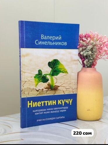 прокат электросамокатов бишкек: Книги на кыргызском языке: 1) «Ниеттин күчү» — Валерий Синельников