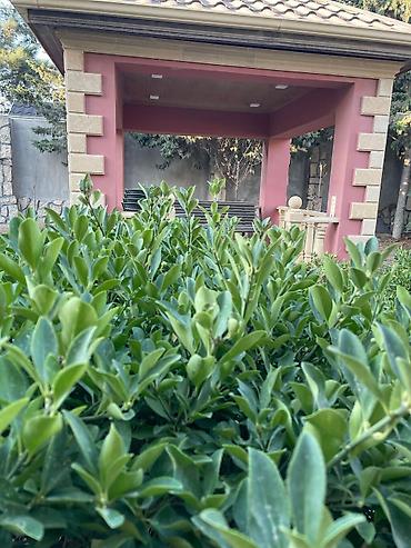 Uşaq və gənc otağı üçün dəstlər: Qız üçün, Yeni — 23