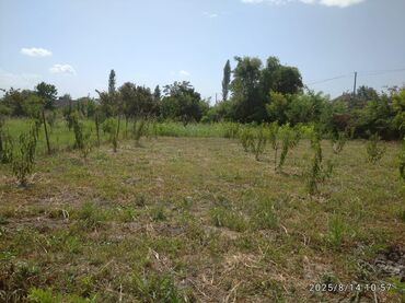 Torpaq sahələrinin satışı: 13 sot, Kənd təsərrüfatı, Barter mümkündür, Kupça (Çıxarış) — 5