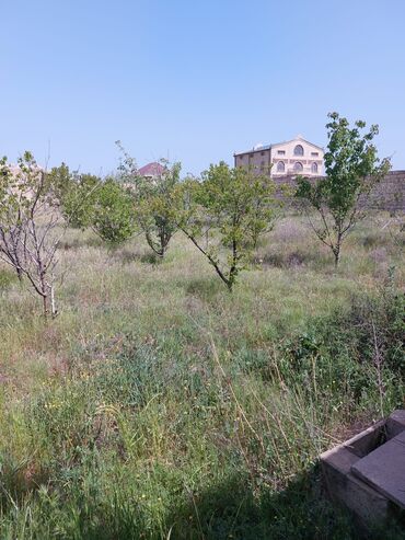 yasmada torpaq: 10 sot, Maklerlər narahat etməsin, Kupça (Çıxarış), Bələdiyyə, Müqavilə