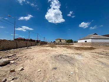 kurdaxani: 19 sot, Biznes üçün, Makler, Kupça (Çıxarış) — 3