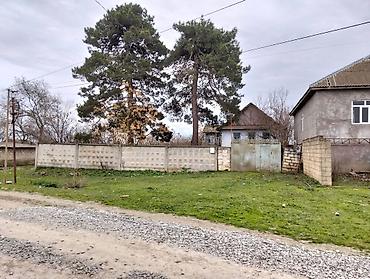 hovsan ev satilir: Cəlilabad Rayon 60 Sot Həyət evi satılır. Şəkillərdə görünən ev — 1