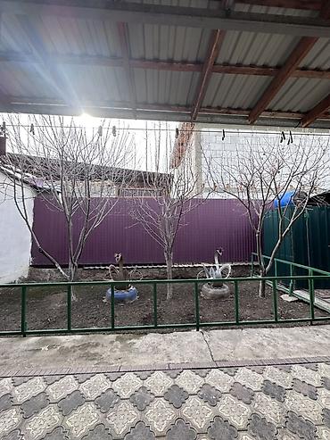 Продажа домов: Дом, 90 м², 4 комнаты — 11