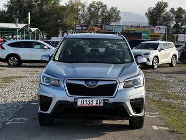 субару форестер 2018: Subaru Forester: 2019 г., 2.5 л, Вариатор, Бензин, Кроссовер