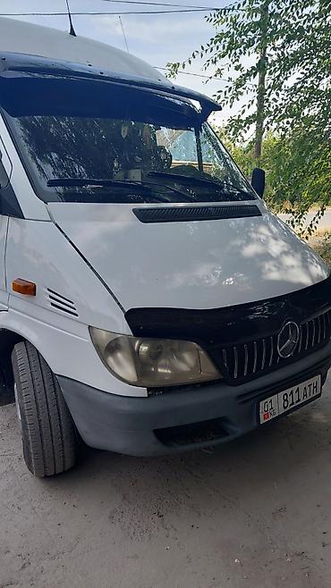 transporter multivan: Пункт назначения: Бишкек, Количество мест: 18, Лицензия №: 08В300600 — 3