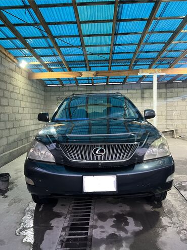 Lexus: Lexus RX: 2004 г. — 1