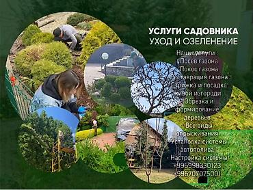 Дизайн, проектирование: 🌱🌱🌱🌱🌱🌱🌱 🌿Наши услуги : 🌿 🌿- Посев газона🌿 🌿- Покос газона🌿 🌿- — 8