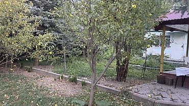 ковер цена бишкек: Беседка Дерево — 4