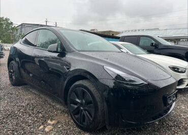 Tesla: 𝐓𝐞𝐬𝐥𝐚 𝐌𝐨𝐝𝐞𝐥 𝐘 растаможен, авто в Бишкеке! 𝟐𝟎𝟐𝟑 𝐕𝐈𝐍