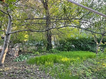 Продажа квартир: 2 комнаты, 41 м², Индивидуалка, 1 этаж — 8