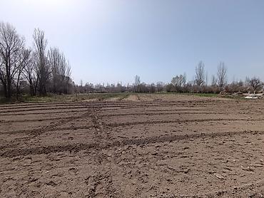 Продажа домов: Дом, 78 м², 3 комнаты, Собственник, Старый ремонт at lalafo.kg — 5 Продажа домов: Дом, 78 м², 3 комнаты, Собственник, Старый ремонт — 5