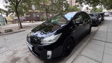 Toyota: Toyota Prius: 2010 г., 1.8 л, Вариатор, Гибрид, Хэтчбэк — 3