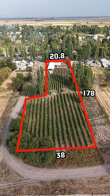 Продажа участков: 48 соток, Для строительства, Договор купли-продажи, Красная книга, Тех паспорт — 11
