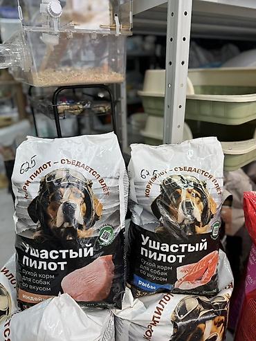 корм для собак: Сухой корм для собак «Ушастый пилот» Упаковка 3,7кг (625сом) — 1