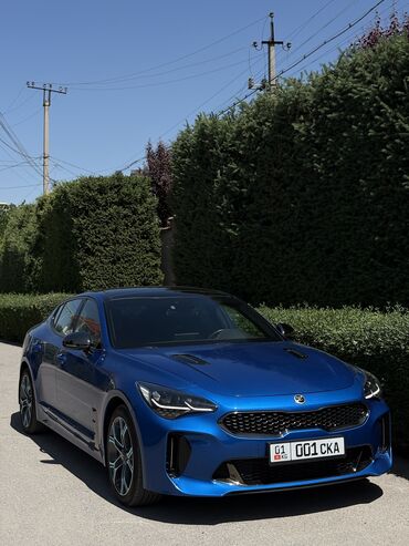 Kia: Kia : 2019 г., 2 л, Автомат, Бензин, Внедорожник