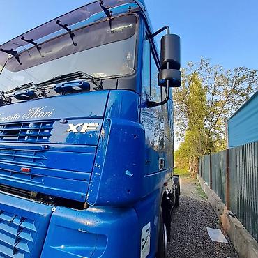 Тягачи: Тягач, DAF, Без прицепа — 9