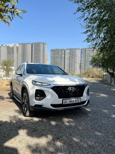 беспроводная зарядка для машины: Hyundai Santa Fe: 2018 г., 2 л, Автомат, Дизель, Кроссовер