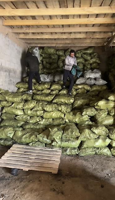 сулюкта уголь: Уголь сулюкта - Фракция: крупные цельные куски, равномерно — 5