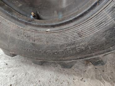 215 65 16 с: Продаю шина с камерой Палессе. Вектор 28LR26 
BELSHINA
срочно срочно — 2